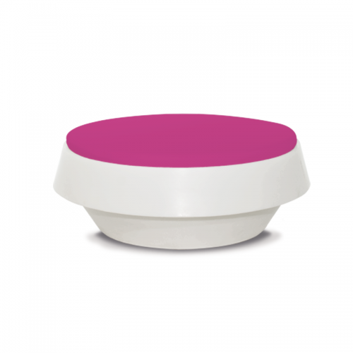 Gió Violet